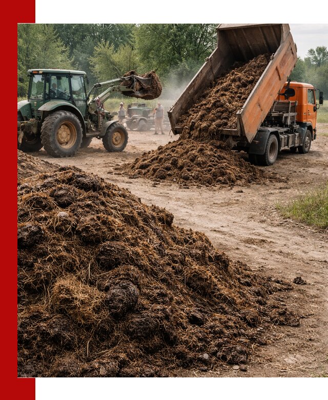 Доставка навоза самосвалами в Верхней Пышме для сельхозпотребностей